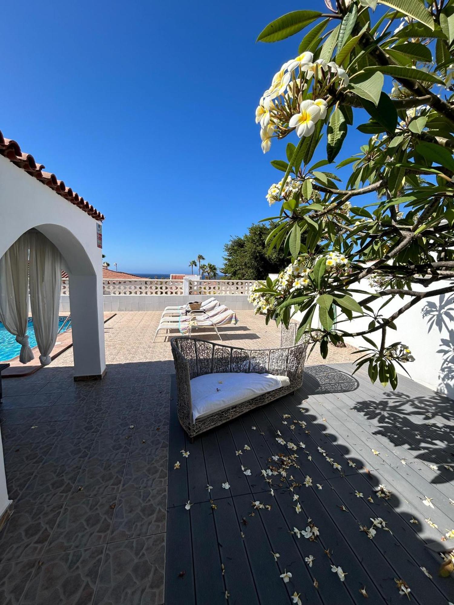 סן מיגל דה אבונה Villa Sole# Luxury Amarilla Golf מראה חיצוני תמונה