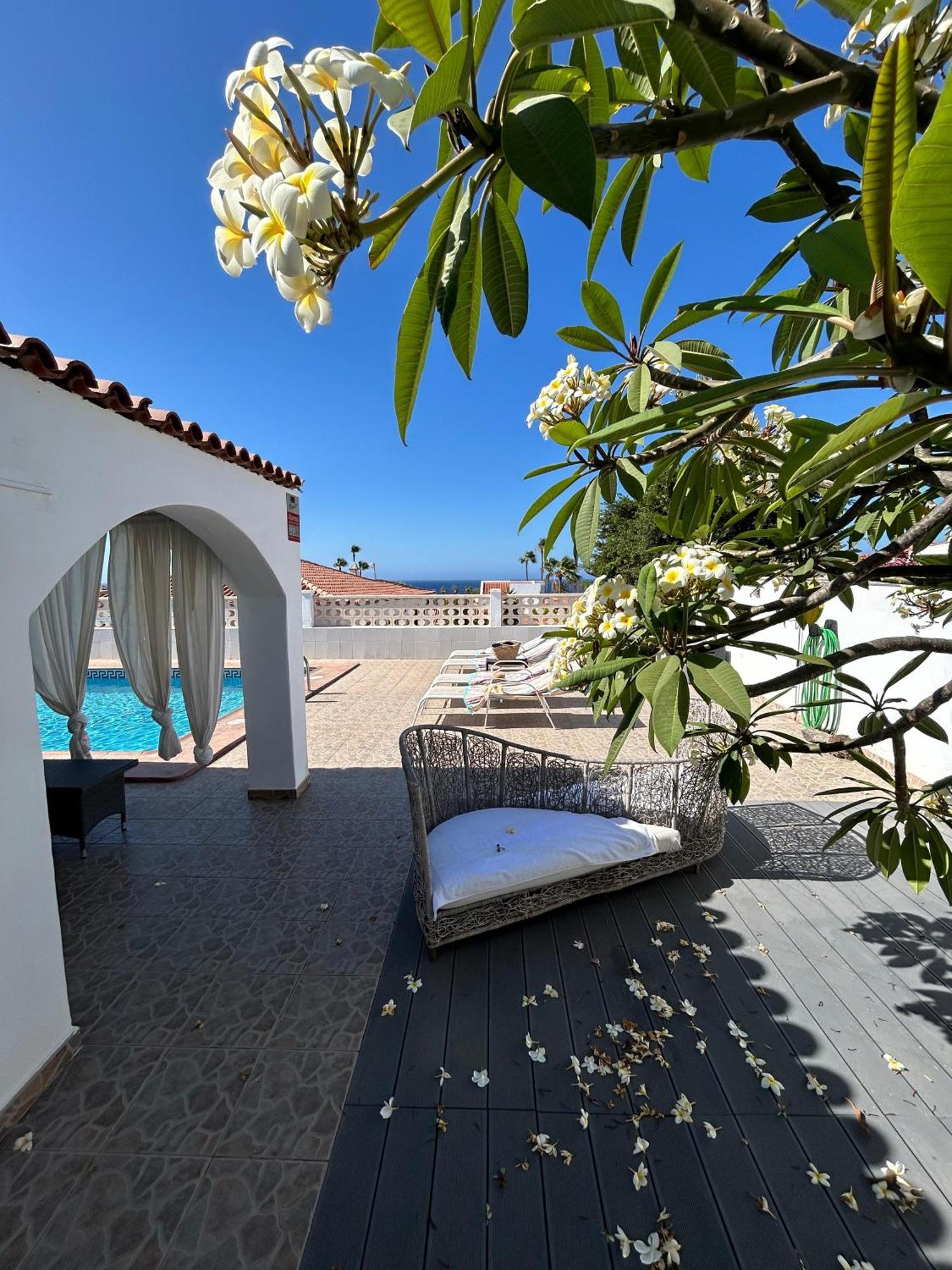 סן מיגל דה אבונה Villa Sole# Luxury Amarilla Golf מראה חיצוני תמונה